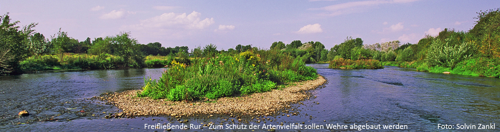 Freifließende Rur – zum Schutz der Artenvielfalt sollen Wehre abgebaut werden   Foto: Solvin Zankl
